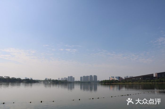松山湖南湖湾露营营地图片