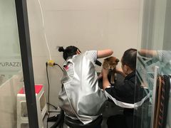 -帕帕拉兹宠物(亚洲旗舰店)