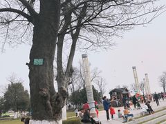 -滆湖低碳生态公园