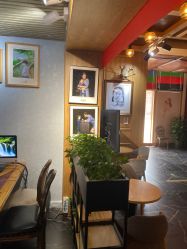 -芒果树国际儿童摄影(月亮河店)