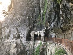 -塔云山