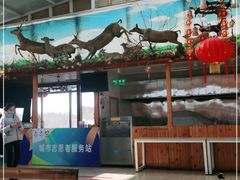 -北京鹿世界主题园