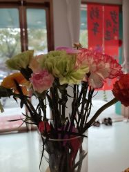 -Dr.林醫生产后修复·配方产康店(南京大厂店)