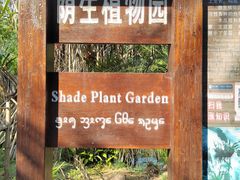 -中国科学院西双版纳热带植物园
