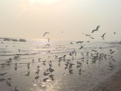 -老虎石海上公园