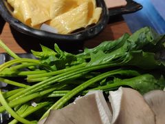 -呷哺呷哺 黄金牧场 (回龙观港龙店)