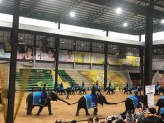 -东芭乐园