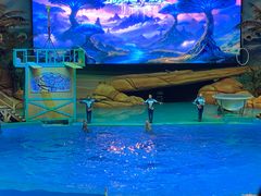 -海合安武汉极地海洋公园