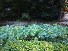 -天怡·鱼工厂(梅溪湖店)