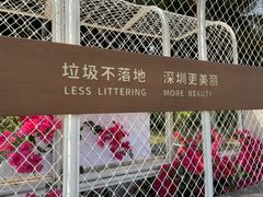 -深圳湾公园(南山区)