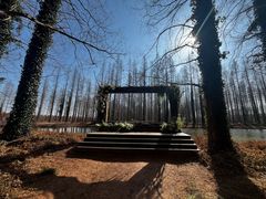 -黄海国家森林公园