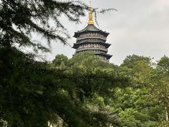 园内景致-浙江西子宾馆·瑶园咖啡厅