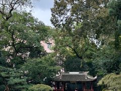 -中山公园