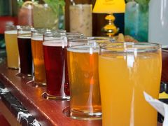 -Famous肥猫墨西哥音乐餐吧(五棵松华熙LIVE店)