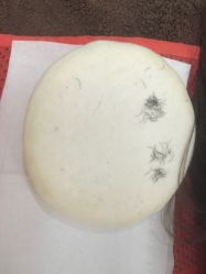 -松和日式美容整骨