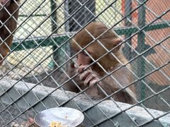 -水上乐园·欢乐世界