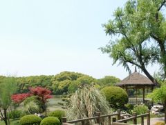 -西郊宾馆·1921餐厅