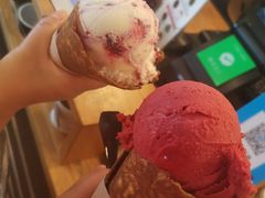 -Patagonia Chocolates(皇后镇店)