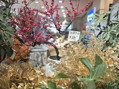 -伊藤洋华堂(温江店)