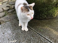 -法云安缦酒店