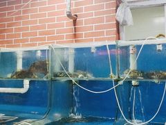 -海帮主·蒸汽海鲜青岛菜(栈桥火车站店)