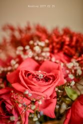 -HY小曼wedding·TOPYOUNG团队