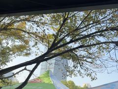 -久宴·天目湖大鱼头(恐龙园店)