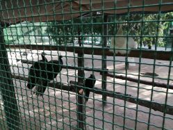 -萌宠亲子动物乐园(槐房万达店)