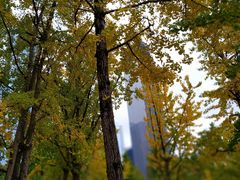 -重庆市江北嘴中央商务区中央公园