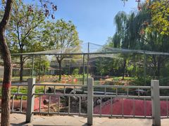 -石家庄市动物园