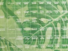 -海南清水湾莱佛士酒店