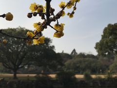 -无锡梅园公园