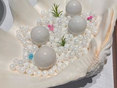 珍珠九年百合-怡情荟•海鲜青岛菜(五四广场旗舰店)