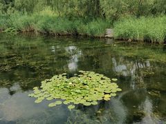 -永定河休闲森林公园