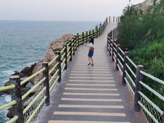 -广东惠东海龟国家级自然保护区