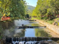 -广州白江湖森林公园