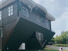 -金山农民画村-枫泾波兰倒置屋