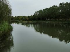 -东郊湿地公园