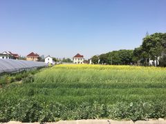 -小鱼草莓采摘园农家乐·小鱼餐厅