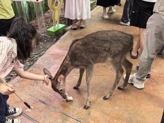 -正佳雨林生态植物园