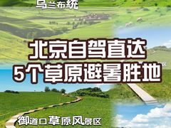-御道口草原森林风景区