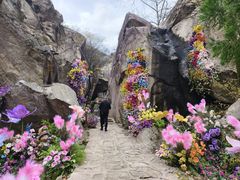 -秦岭终南山世界地质公园翠华山景区