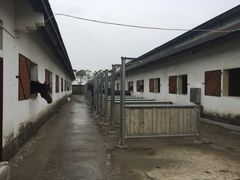 -松声马术俱乐部