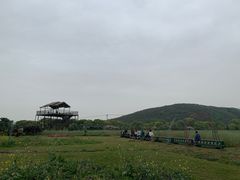 -苏州太湖西山岛开心农场