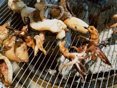 烤肥牛-啊美丽炭火烤肉(滑翔一店)
