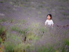 -大塘金香草谷