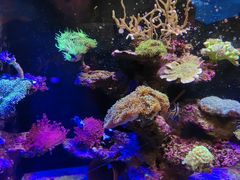 -海合安成都极地海洋公园