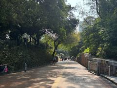 -九龙公园