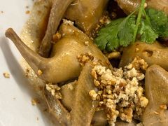 -百利鸽王(紫薇路店)