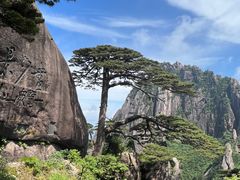 -黄山风景区